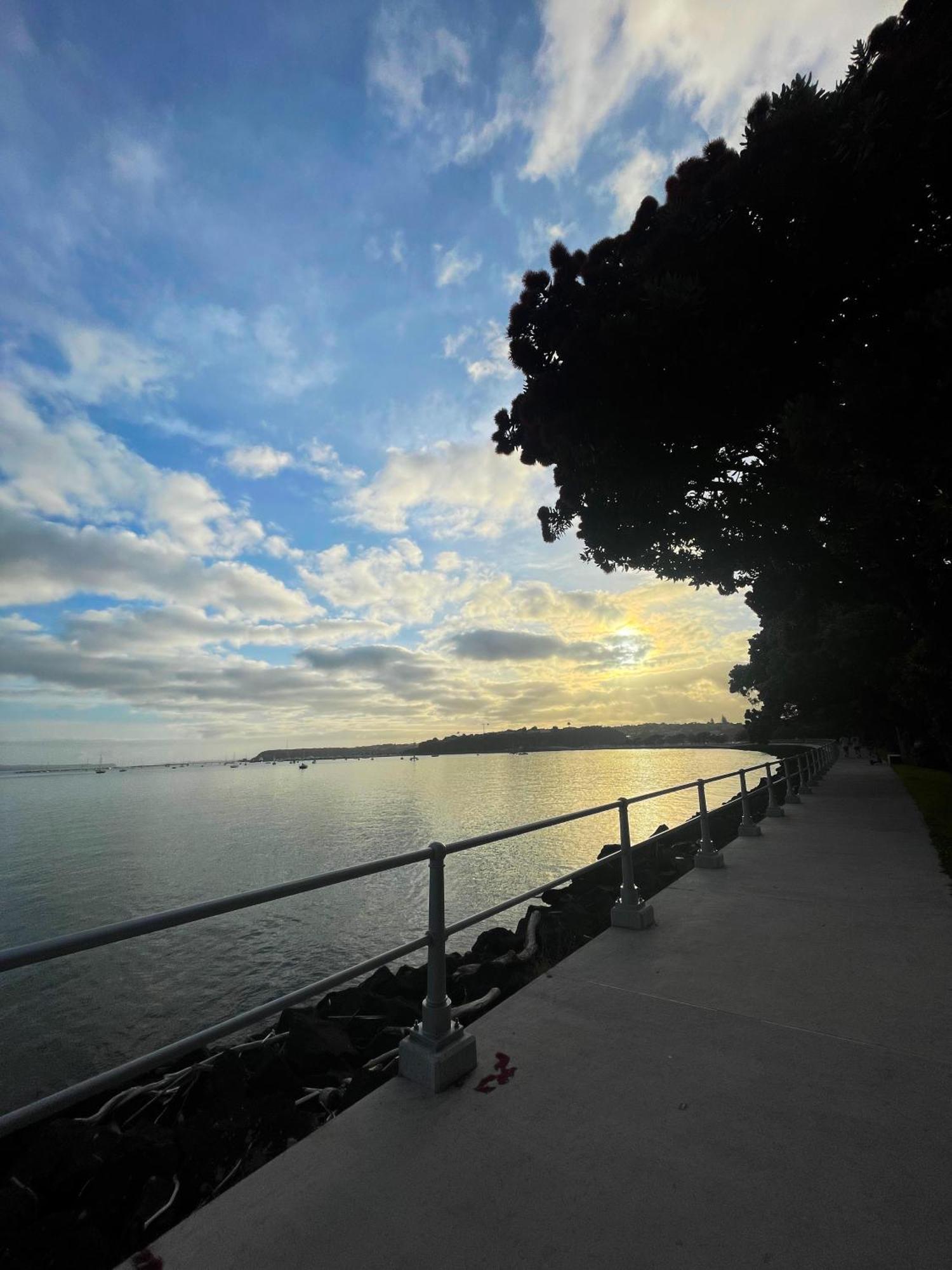 Luxury Apartment - Parking - Hot Tub - Stunning Views Auckland Exterior foto